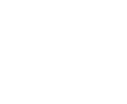 Teamtruss Automotive Group