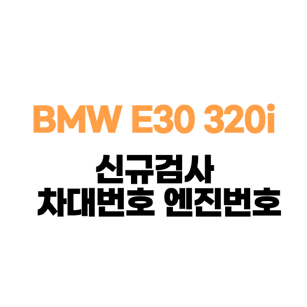 BMW E30 320i 컨버터블 신규검사 / 차대번호 엔진번호